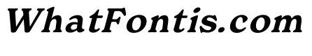 Your Life MediumItalic