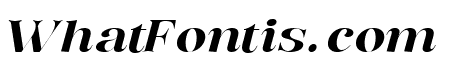 Bentoga Italic Medium