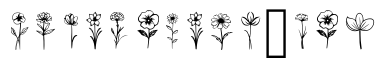 Variety Flower Momat 1 Regular