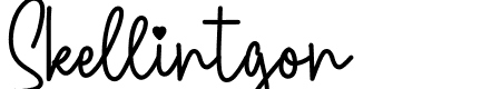 Minimalist Love Script