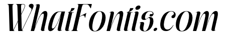 Moxtas Medium Italic