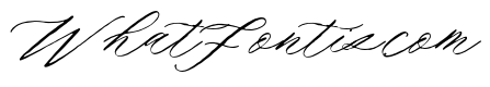 Outlook Script Italic