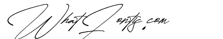 Quenttine Signature Italic