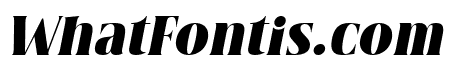 Zonnk Italic