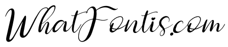Dettina Laura Italic