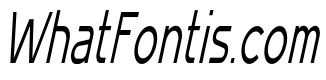MN Grissee Italic Thin Cond