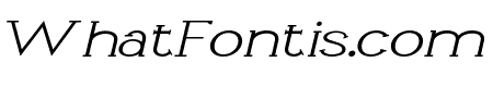 Li?vin Light Expanded Italic
