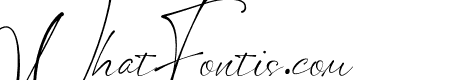 Mogenta Signature
