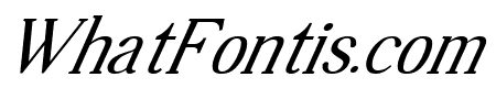 Round trip Italic
