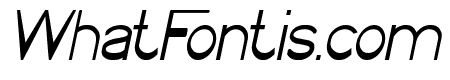 WINNER Bold Italic