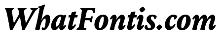 Change Bold Italic