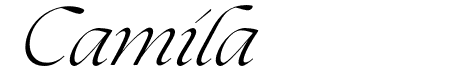 The Seasons Light Italic