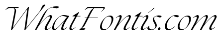The Seasons Light Italic