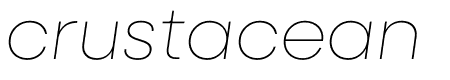 Neulis Sans Thin Italic