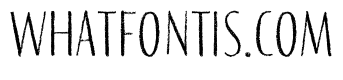 Palomino Script Rough