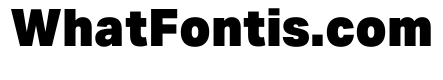 Aktiv Grotesk Geor Black