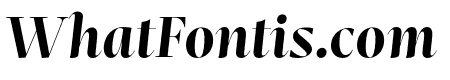 Mastro Display Bold Italic