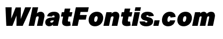 Aktiv Grotesk Armn Black Italic