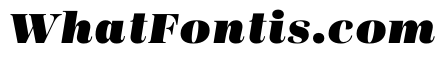 Presti Text Black Italic