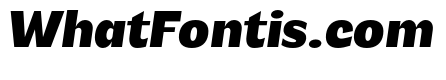 Venice Blvd Black Italic