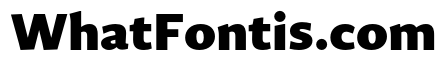 Guyot Sans Black