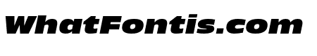 New Nord Extended Heavy Italic