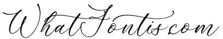 Askenild Kimortega Script