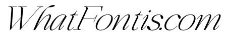 Qidango Italic