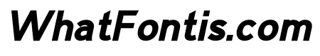 Rdn Sans Bold Italic