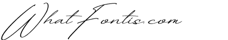 Tranquil Euphoric Script Italic