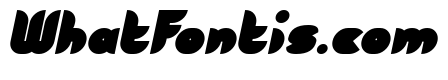 Fruit Slices Bold Italic