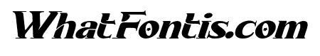 CHANGES TOGETHER BOLD ITALIC