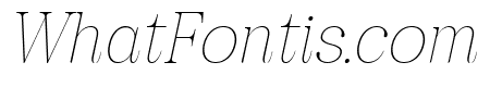 Pujarelah Thin Italic
