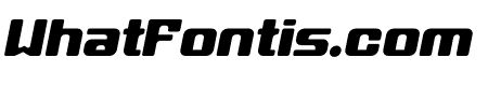 Gymaxim Sportnet Italic