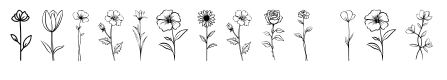 flower garden memories Regular