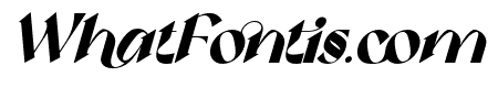 Exploring Constantly Bold Italic
