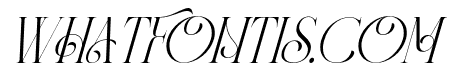 Panorama Ligatures Light Italic