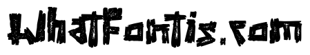 Amazon Rustic