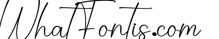 Audrina Signature