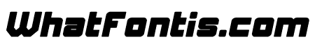 ELITE MIND Bold Italic