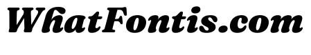 Fraunces Variable Heavy Italic