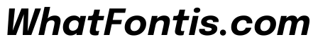Epilogue Bold Italic