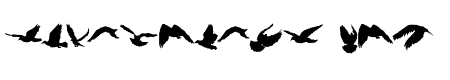 Bird shadow