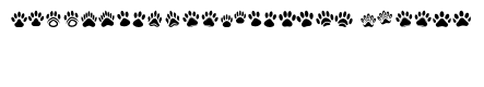 cat paws memory Regular