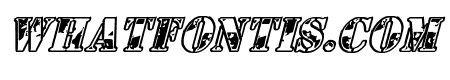 1st Cav Italic