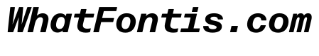 Forma Djr Mono Bold Italic
