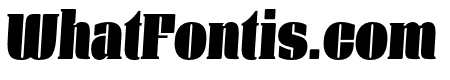 Manometer Serif Italic