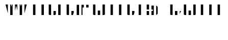 CFB1 American Patriot SOLID 2 Bold Italic