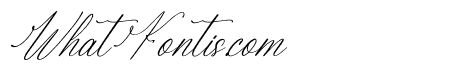 Berlanfi Sankisse Italic
