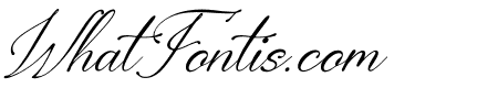 Berthaleya Ferbonitze Italic